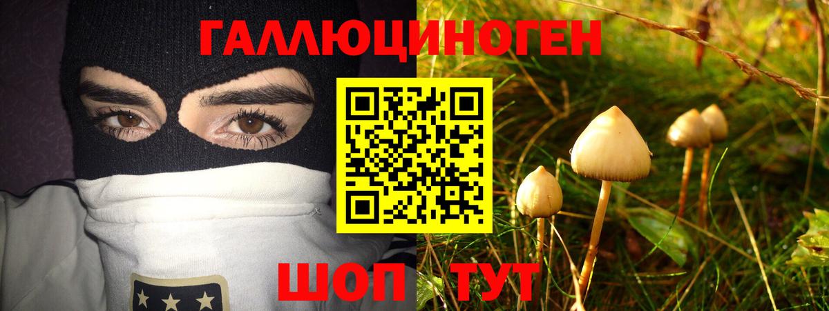 Псилоцибиновые грибы мухоморы Михайловка